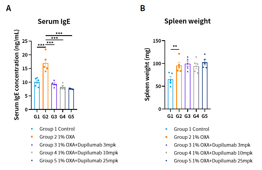 Case 2 Fig.3 OXA induced AD model in hIL4/hIL4R mice.