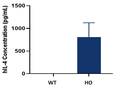 Fig.1 Analysis of hIL4 expression in serum by ELISA.