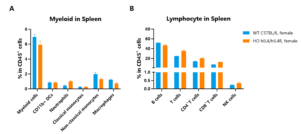Fig.5 Detection of myeloid (A) and lymphocyte (B) in the spleen of hIL4/hIL4R knockin mice by FACS.
