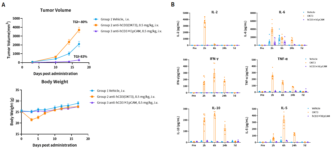Fig.3 In vivo AICD and irAE Assessment of Bispecific T Cell Engager Antibodies in Homozygous hCD3EDG Mice.