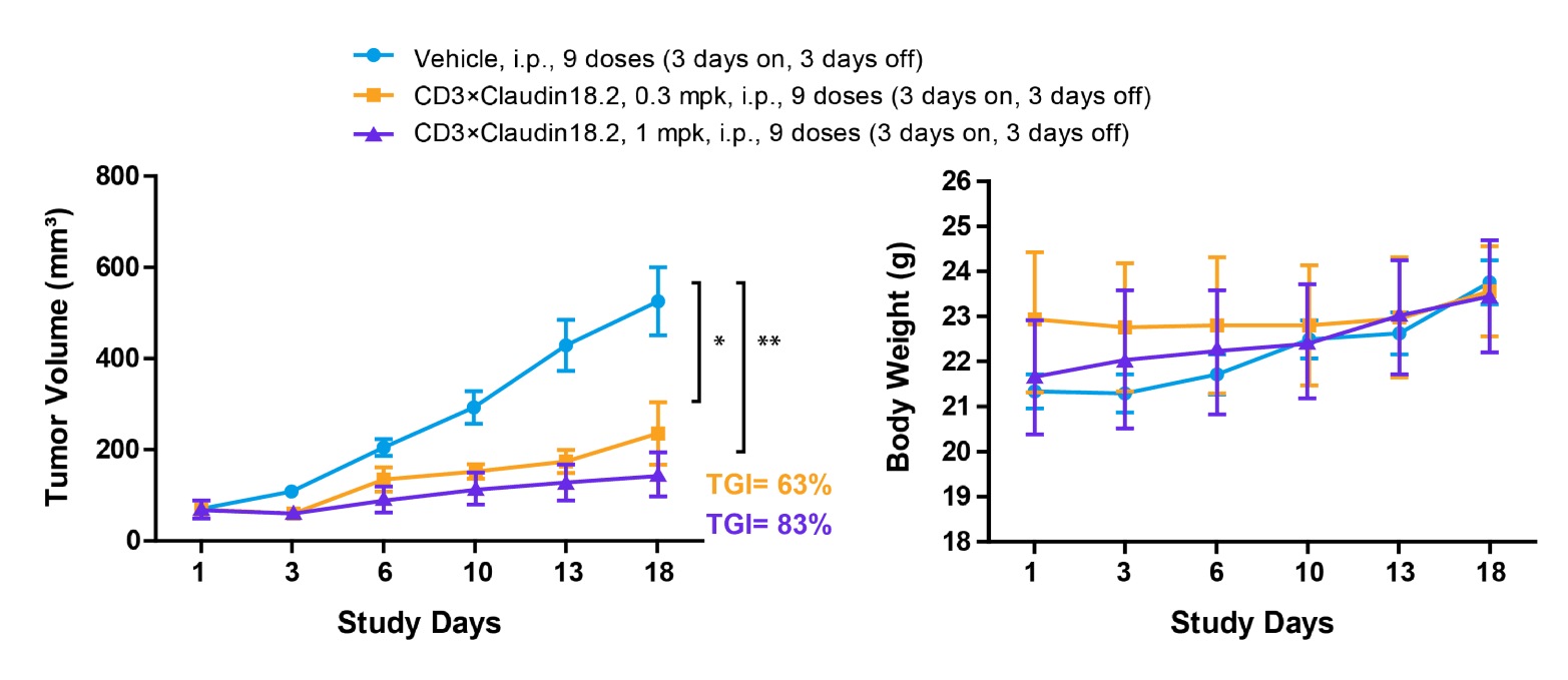 Fig.4 In Vivo Response with Bispecific T Cell Engager Antibodies in Homozygous hCD3EDG Mice.