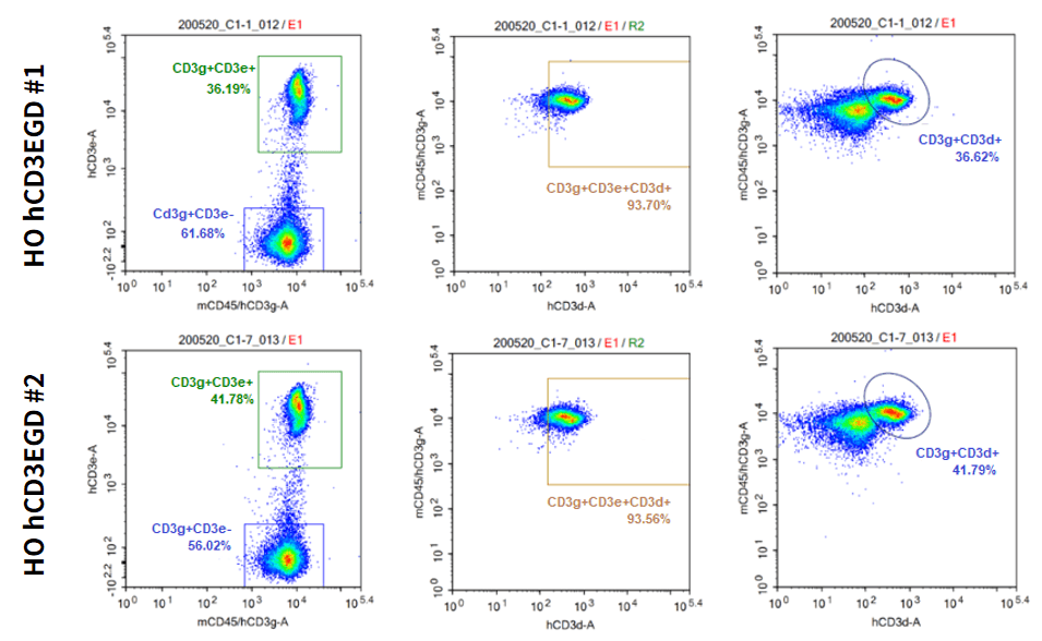 Fig.1 Detection of human CD3E,CD3D,CD3G on T cell surface in HO hCD3EDG mice.